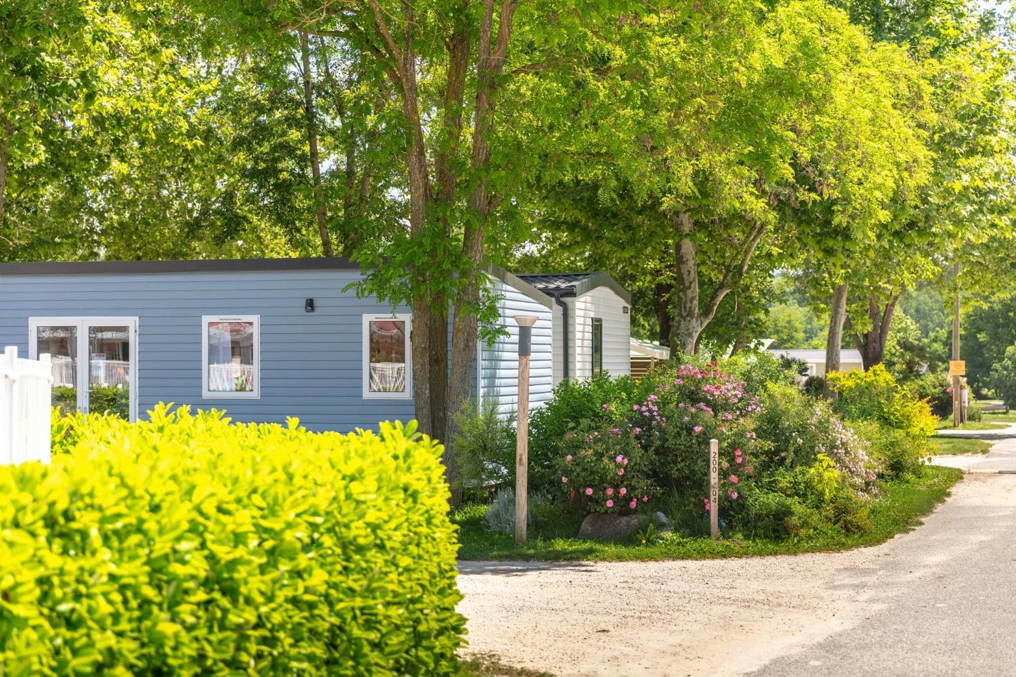 Camping Chateau De Galaure Chateauneuf-de-Galaure Exteriör bild