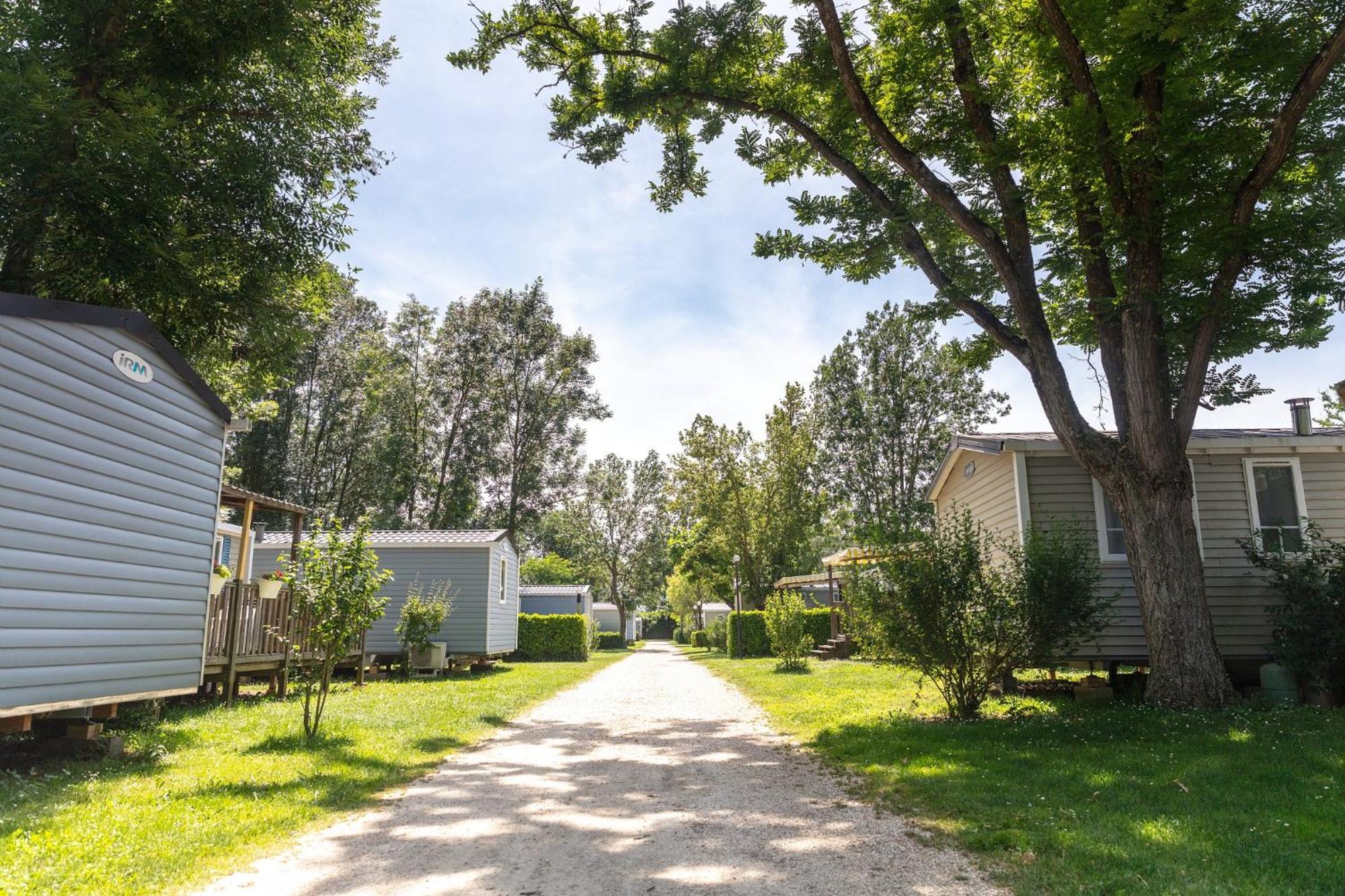 Camping Chateau De Galaure Chateauneuf-de-Galaure Exteriör bild